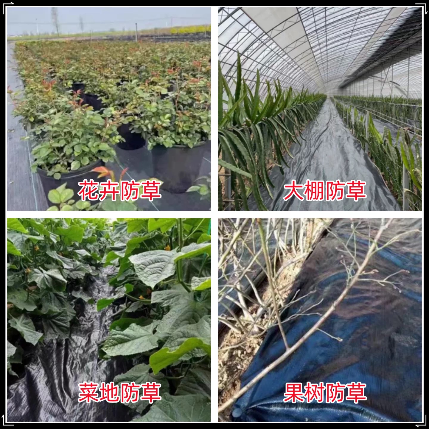 衡阳市防草布防草布 - 价格