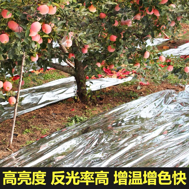 衡阳市工程膜果树反光膜 - 方案